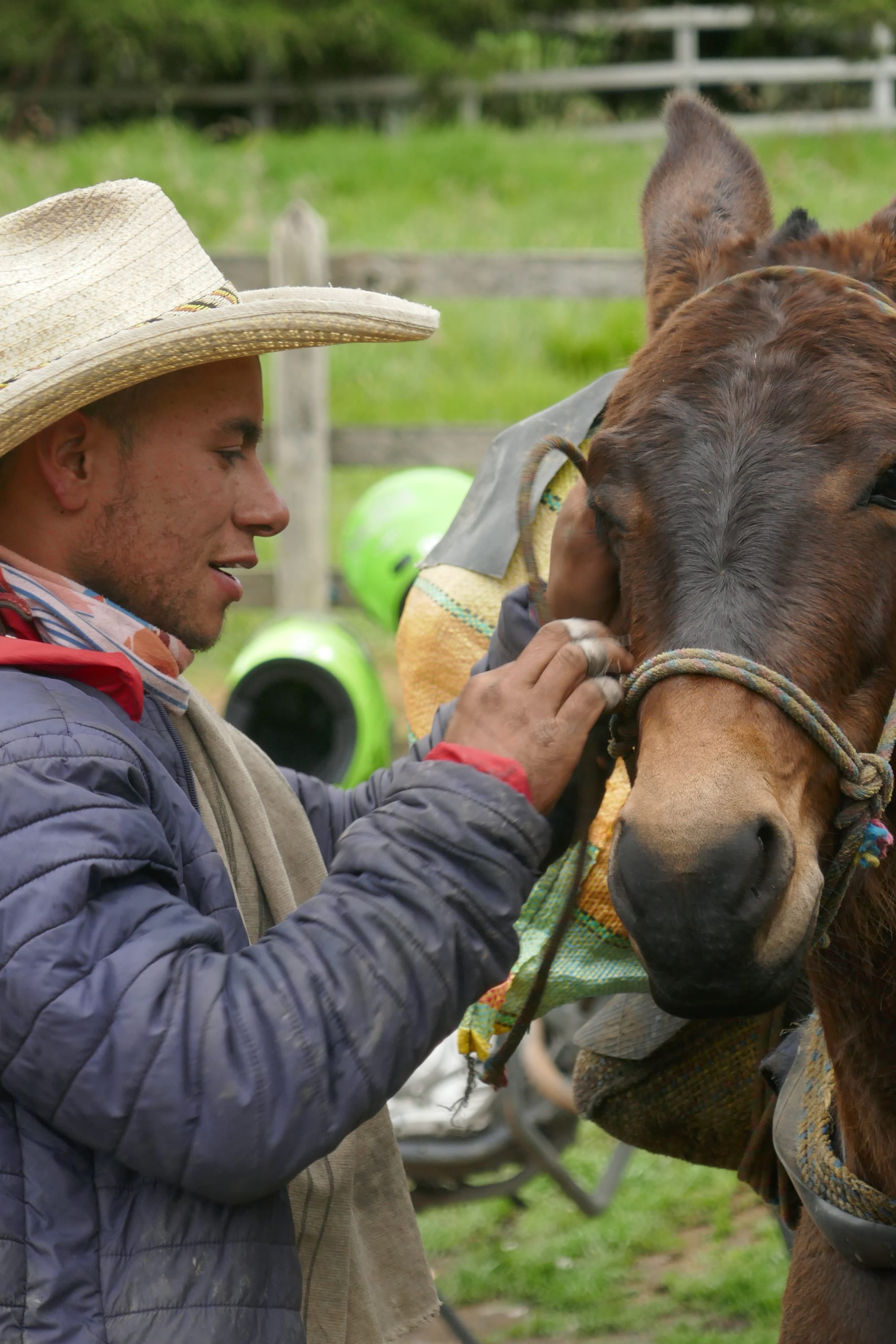 homme colombien préparant un cheval dans la vallée de Cocora